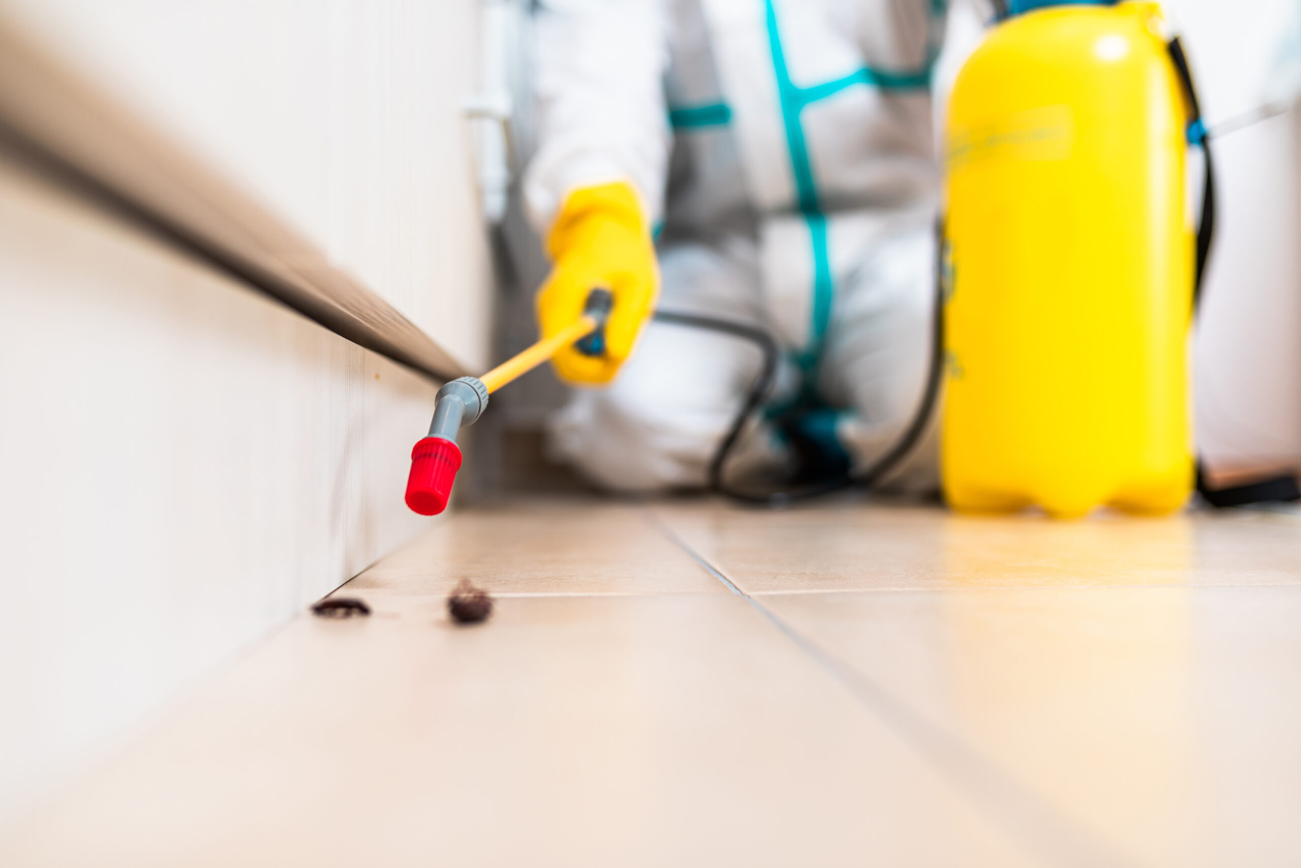 Commercial Pest Control Coral Springs